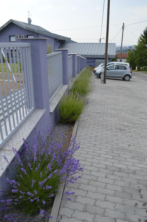 Pansion Antonio Bed & Breakfast Slavonski Brod Exterior photo